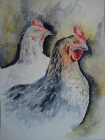 têtes de poules