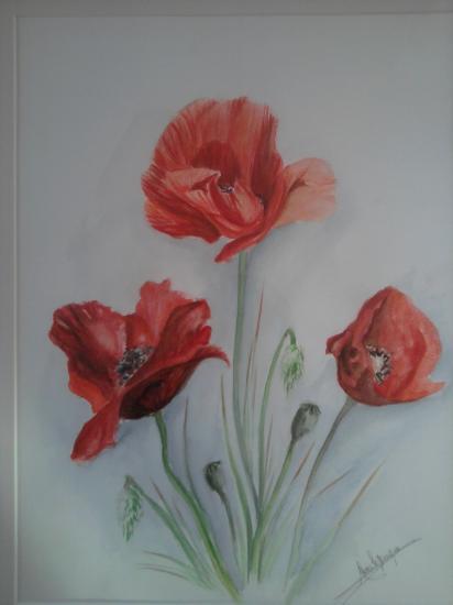 coquelicots 2